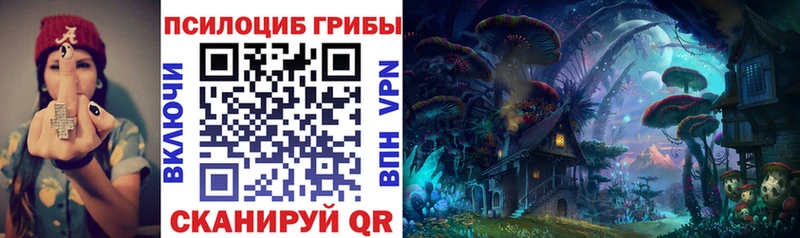Галлюциногенные грибы Psilocybine cubensis  мега зеркало  Лихославль 